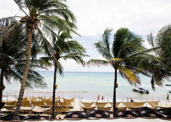 Apartment Ocean Front Corto Maltes 104 In Downtown *